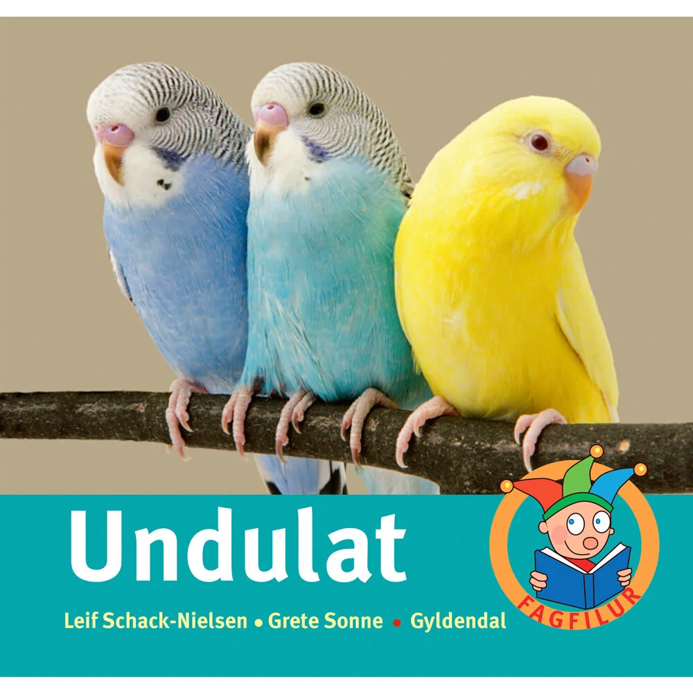 1x1_Undulat.jpg