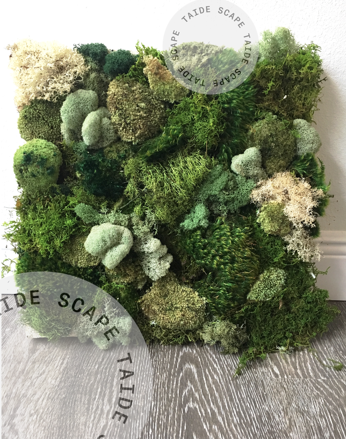 Custom Moss Panel Design
