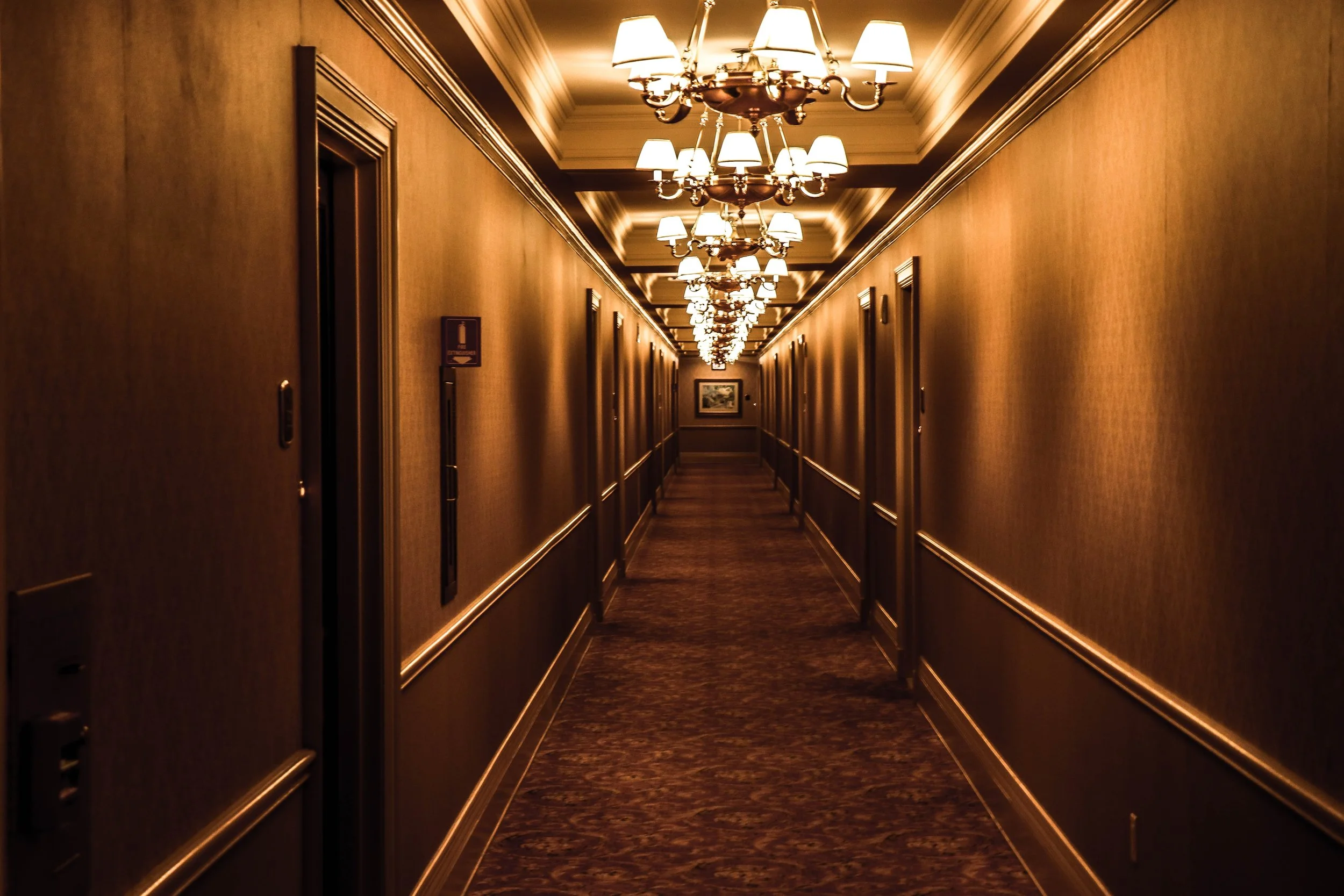 architecture-carpet-chandeliers-573552 (1).jpg