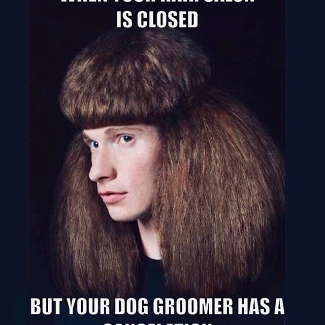 I&rsquo;ll be back, don&rsquo;t give in!