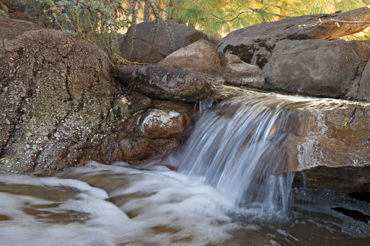 Cascade Garden Stream