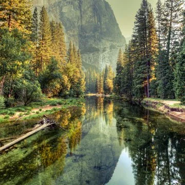 Nicholas M. Eddy Sr.