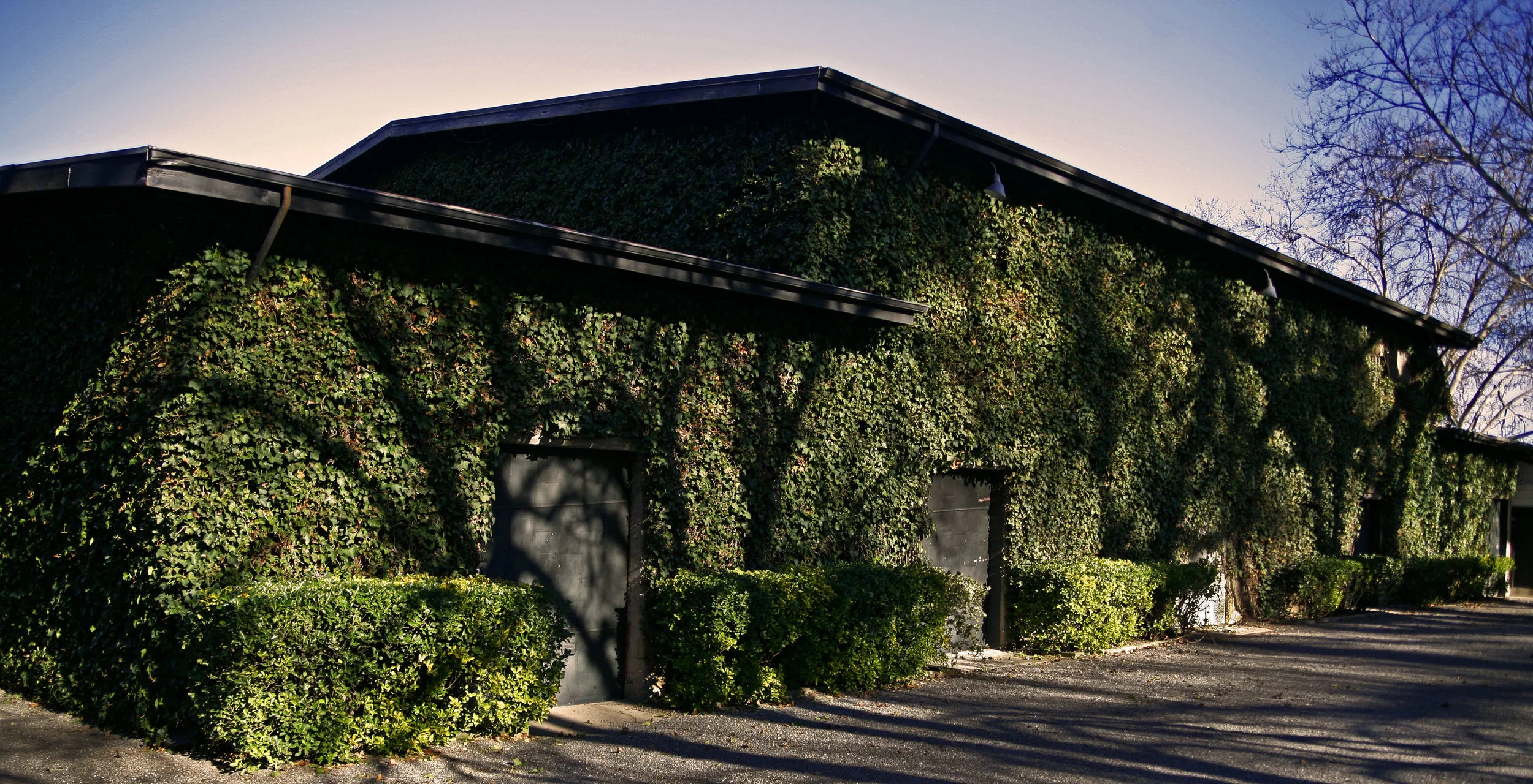 backside of building.JPG