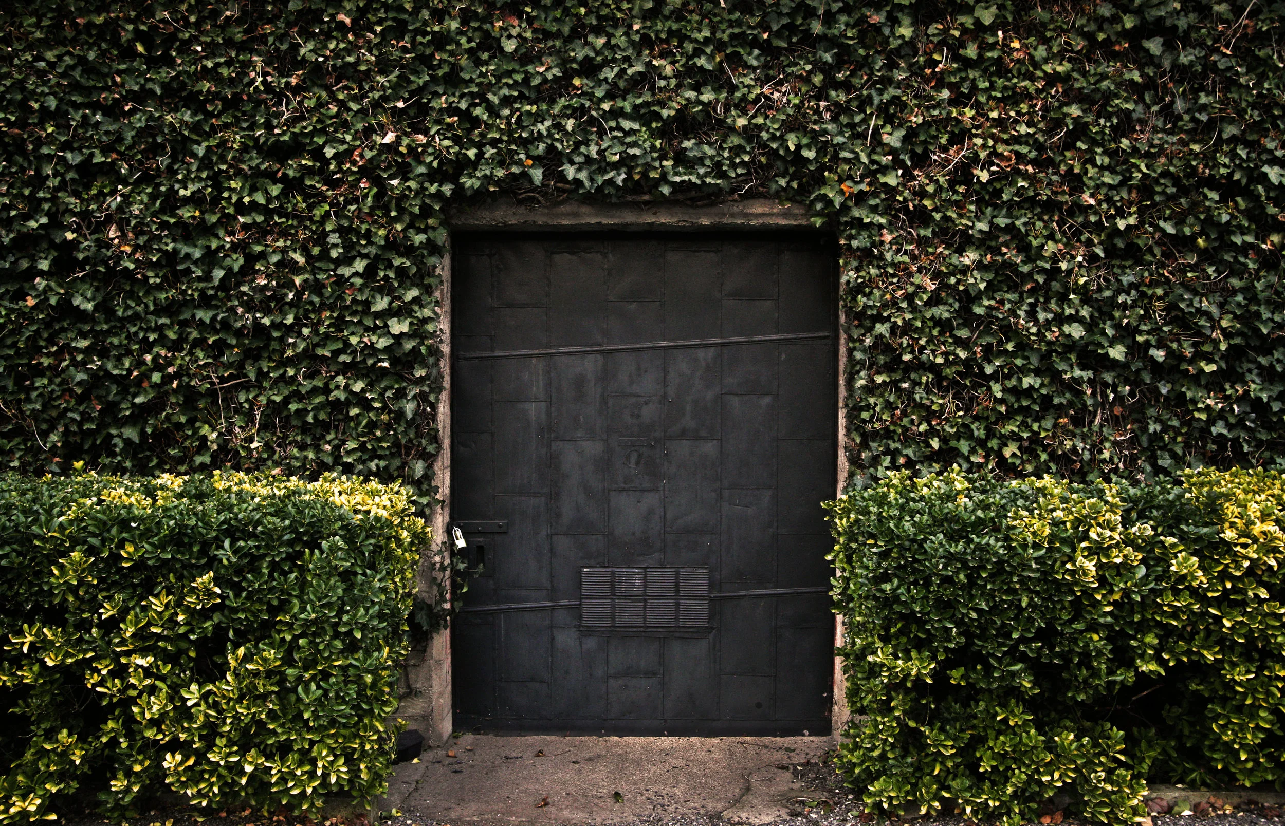 backdoor2.jpg