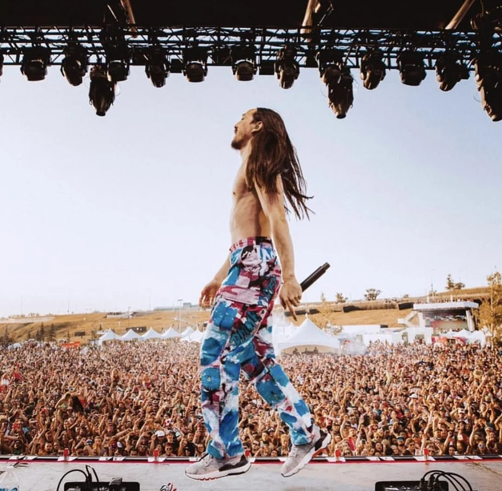 steve aoki IMG_8751.jpg