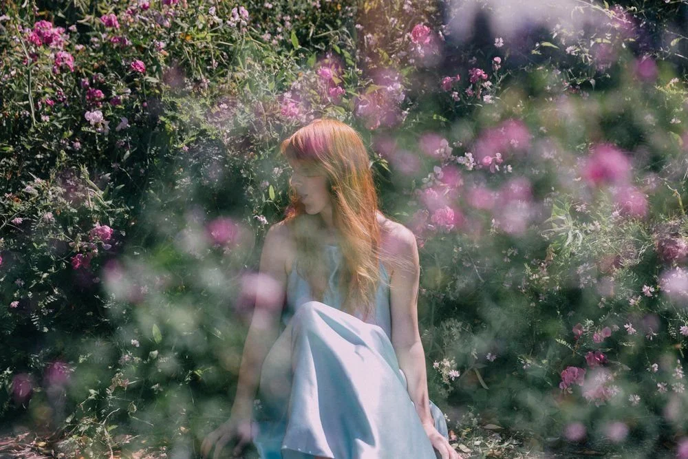 PREMIERE | Lindsay Clark, "Evening Star"