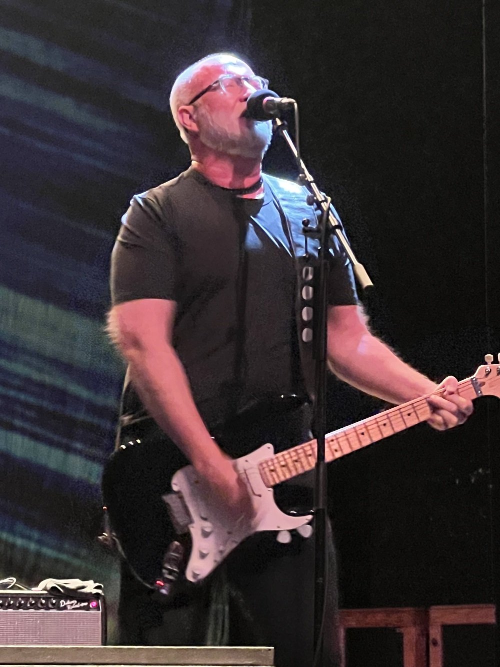 sugar warfield week in pop 8.jpg