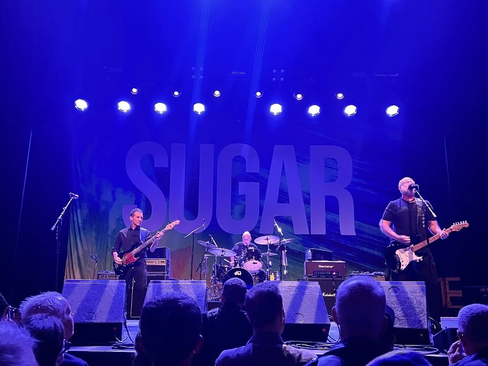 sugar warfield week in pop 6.jpg