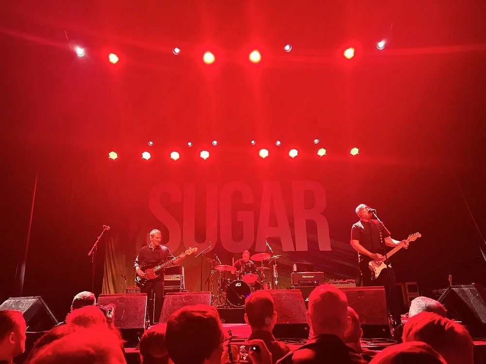 sugar warfield week in pop 9.jpg