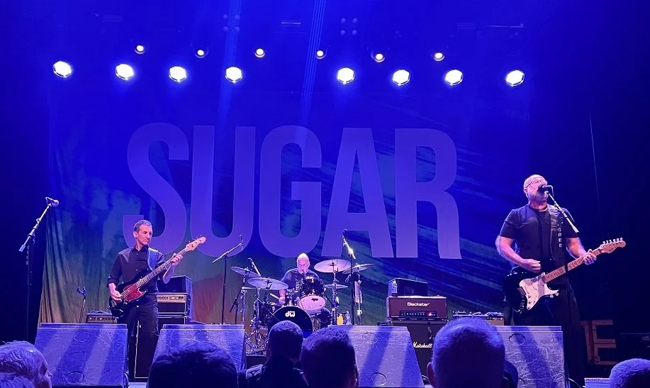 sugar warfield week in pop 6.jpg