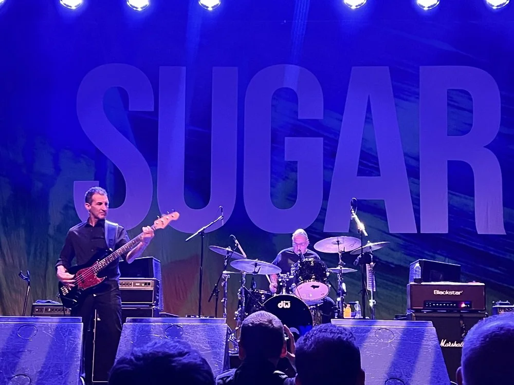 sugar warfield week in pop 5.jpg