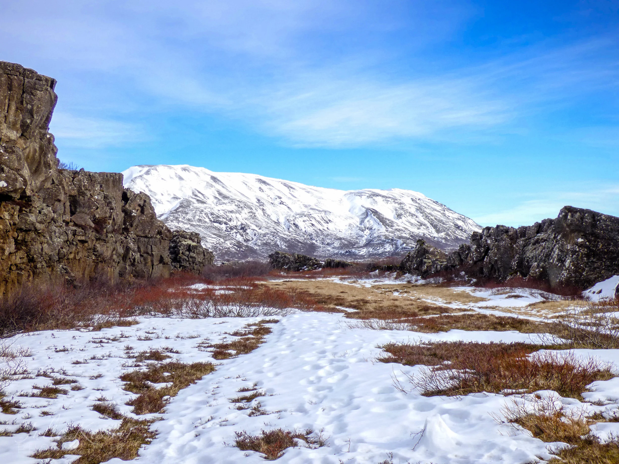 P1030346-2.jpg