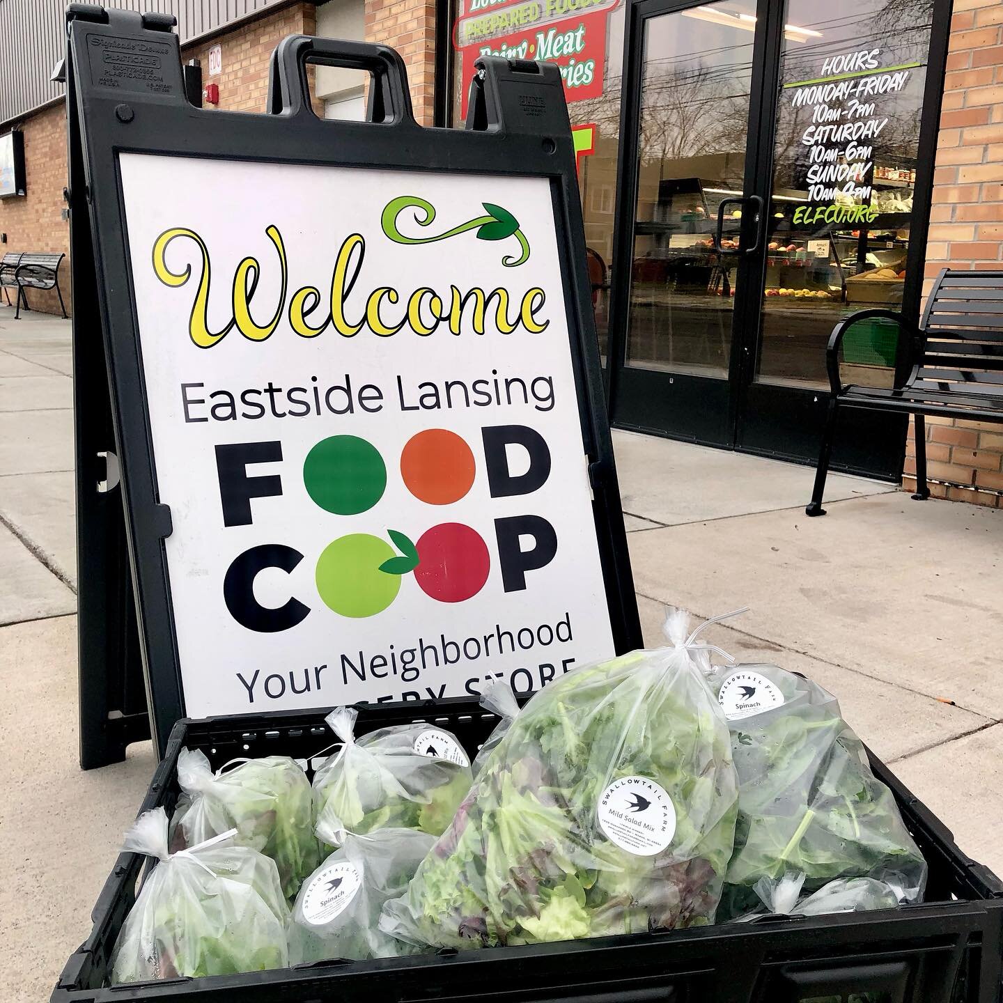 We just dropped off our final greens of the year at ELFCO @eastside_lansingfoodcoop If you need some salad for your Christmas table, stop on by.

If you&rsquo;re not familiar with @elfco_lansing it&rsquo;s a great little neighborhood-scale grocery on