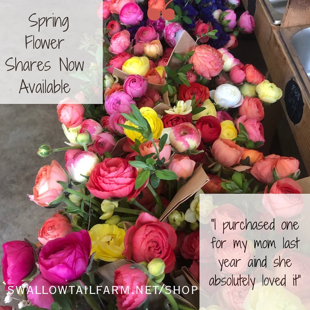 It&rsquo;s that time of year &hellip;thinking of creative gifts for ones you love that won&rsquo;t clutter up their houses or clog up landfills, but will bring them joy. 

How about the gift of beautiful locally grown flowers to brighten up their spr