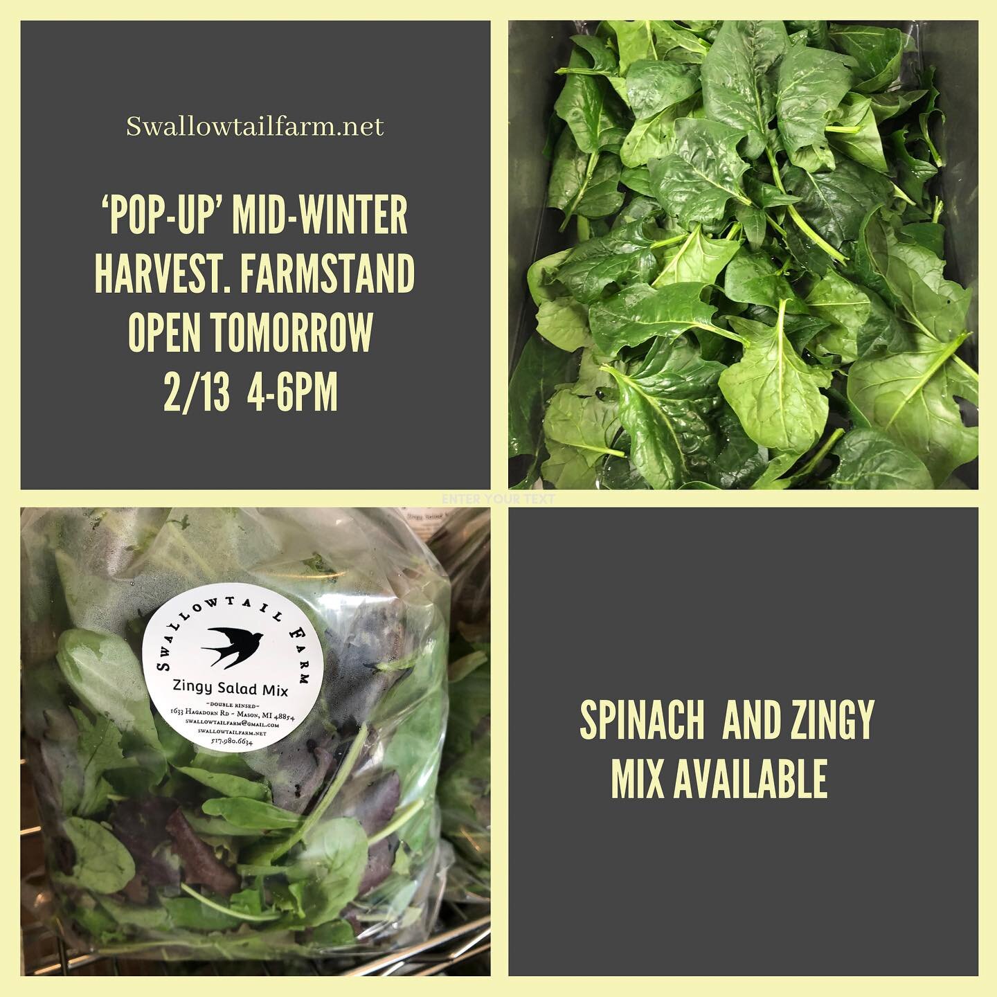With this mild weather and ☀️ (🎉💕) our greens were asking us to cut them. 

If you need some greens to balance out your paczki we&rsquo;ll have the farmstand open tomorrow 2/12 4-6. 

We don&rsquo;t expect to open for regular weekly open hours unti