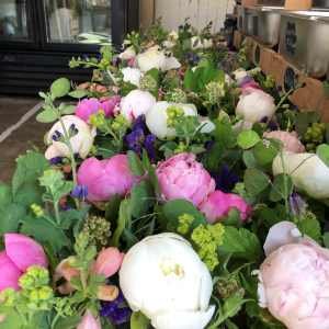 peonies.jpg