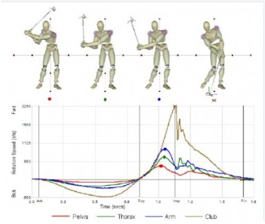What is the correct Kinematic Sequence? — THE SWING LAB THEORY -  Performance & Therapy