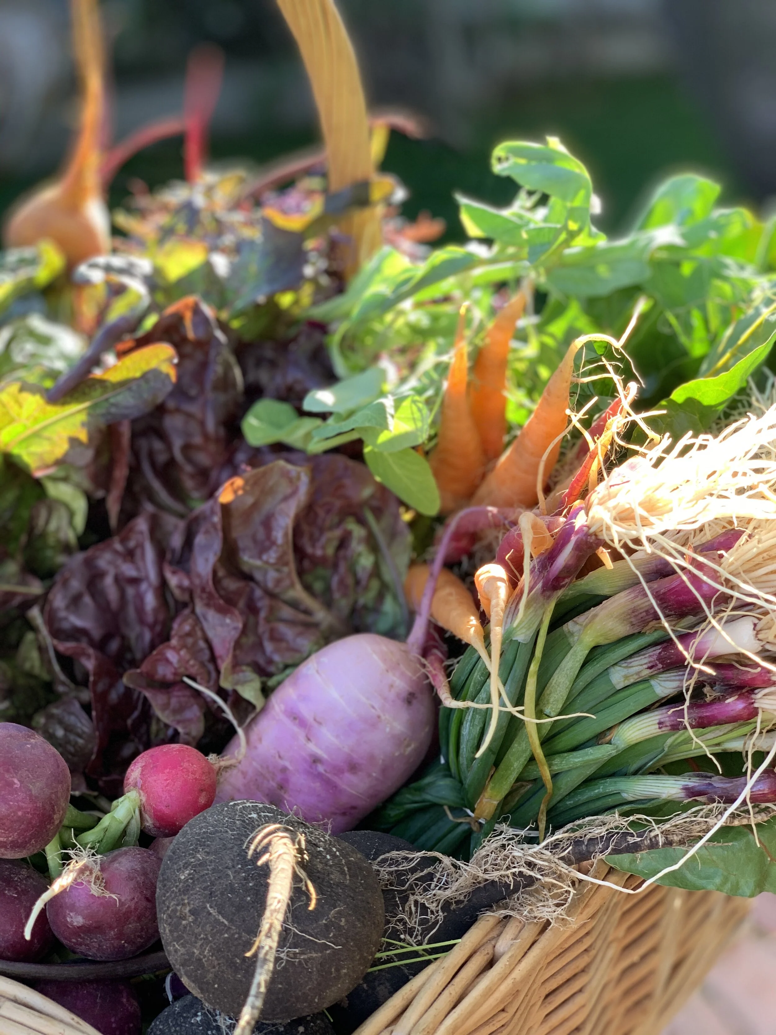SOLD OUT "Farmer and Fisherman in the House" Annual Dinner Event
