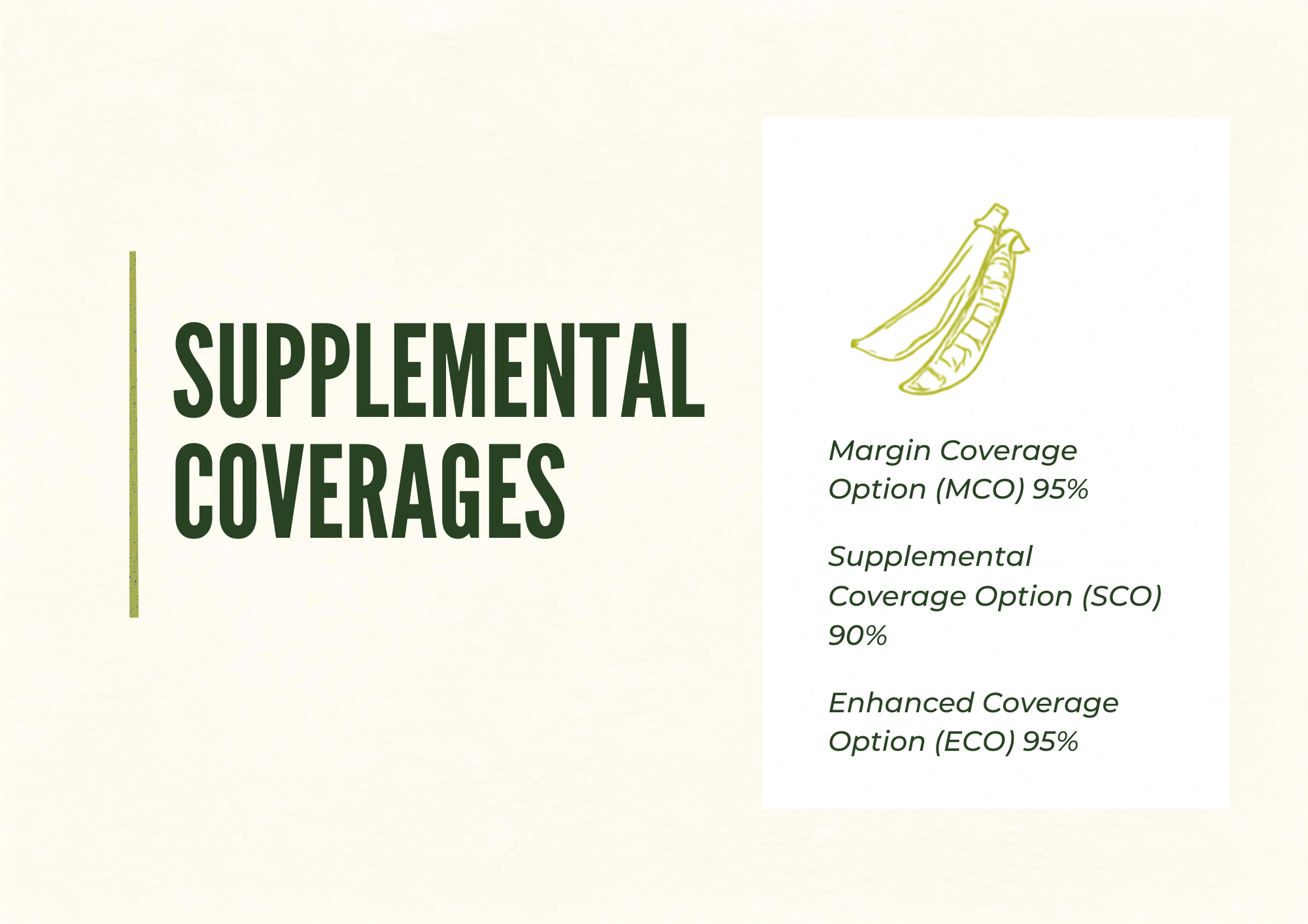 Supplemental coverages template.png