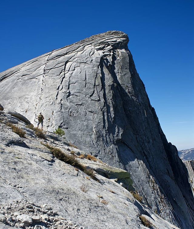After many years of lovingly staring up at Half Dome, I finally had the chance to check out the view from the top this weekend. It did not disappoint! Climbing that rock was one of the coolest and most unique hikes I have ever done. (The little ants 
