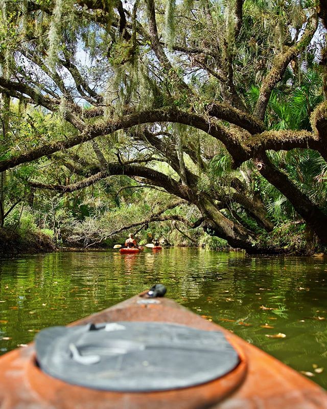 Often times the best parts of a trip are the unplanned ones. A navigational error led to connecting with my cousin in Naples, Florida which allowed us to explore this hidden gem. Paddling through the trees on a quiet morning was definitely one of the