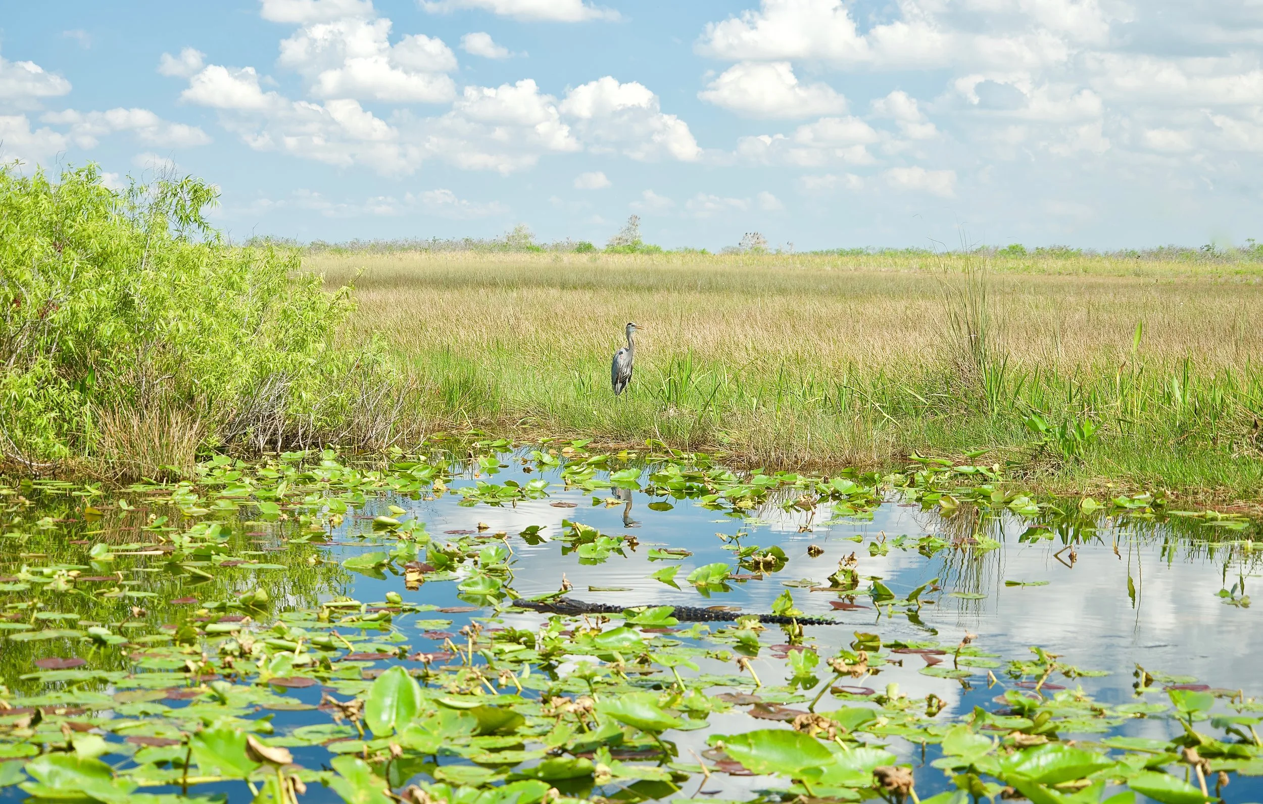 Everglades National Park