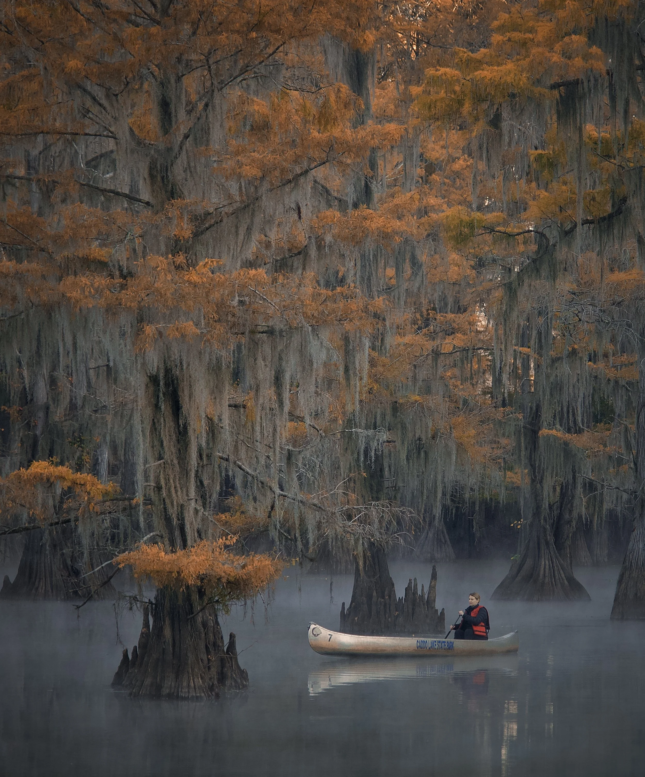 Caddo Lake State Park