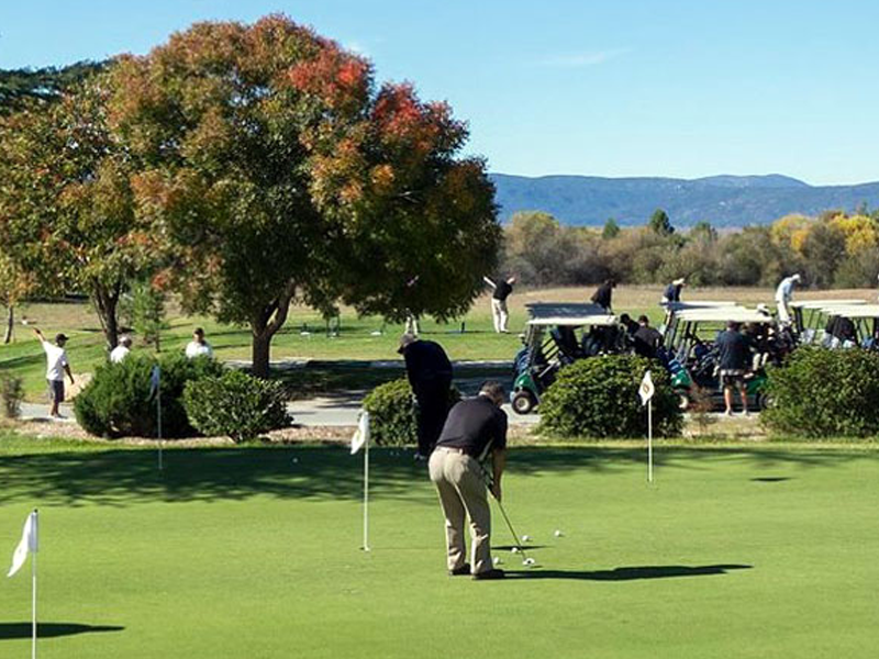 Golf2.png