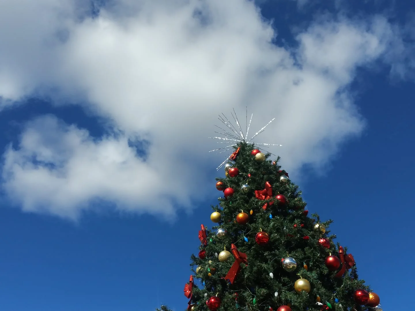 2018 Christmas Tree_Char.jpg