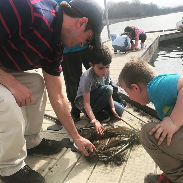 Mr. Robbie and after-school program participants had the chance to get up close and personal with some marsh critters at @nahantmarsh in the final weeks of our after school program! .
.
.
.
.
.
#springforwardqc #afterschool #afterschoolalliance #tagt