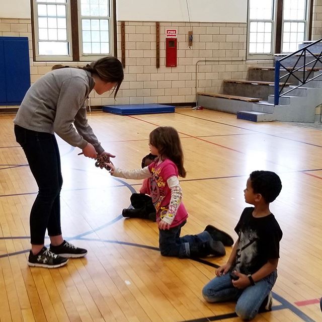 After school program kids at Frances Willard got to meet a snake when Jenna from @nahantmarsh came to visit!