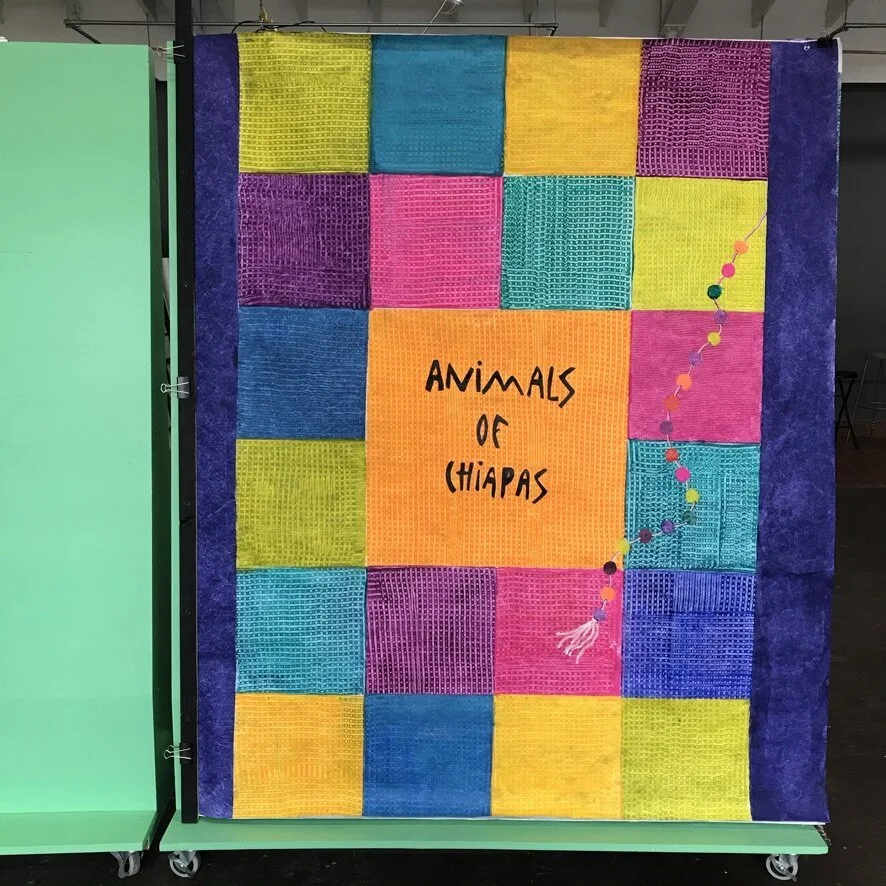 Animals of Chiapas large book.jpeg