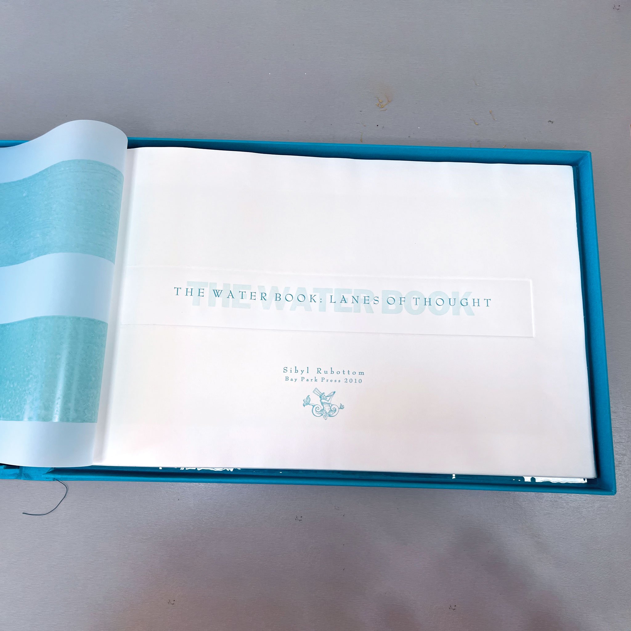 IMG_1757-Sibyl-Rubottomwaterbook-lanes-of-thought copy.jpg