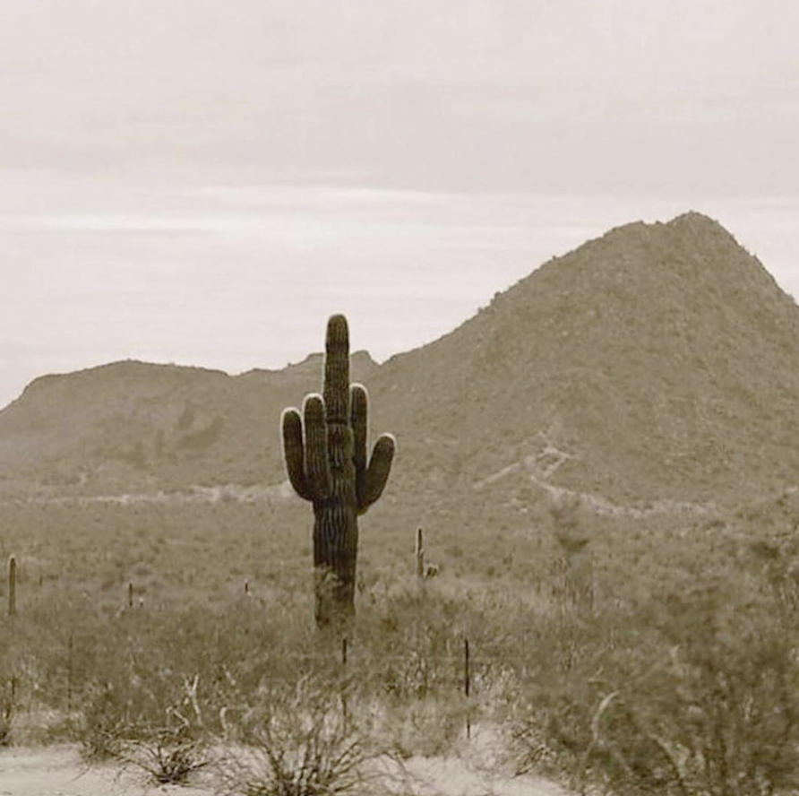 Screen Shot 2019-03-28 at 7.30.57 AM.png