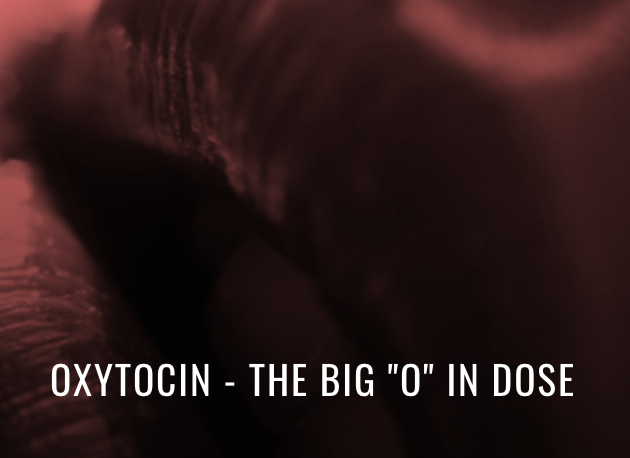 Screen Shot 2019-04-03 at 10.58.39 PM.png