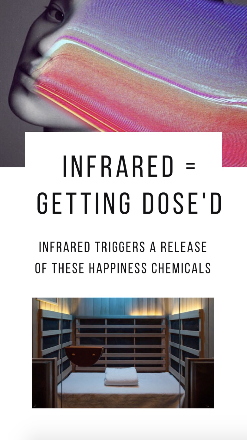 Screen Shot 2019-04-04 at 12.32.36 AM.png