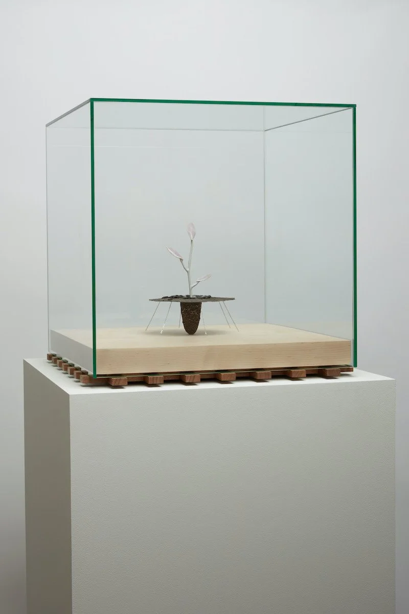   Obelisk (Lavender Pallor Mortis) , 2021. cremated leaves, rare earth elements, ceramic, twig, silver, magnets, resin, steel, glass, maple, walnut. 