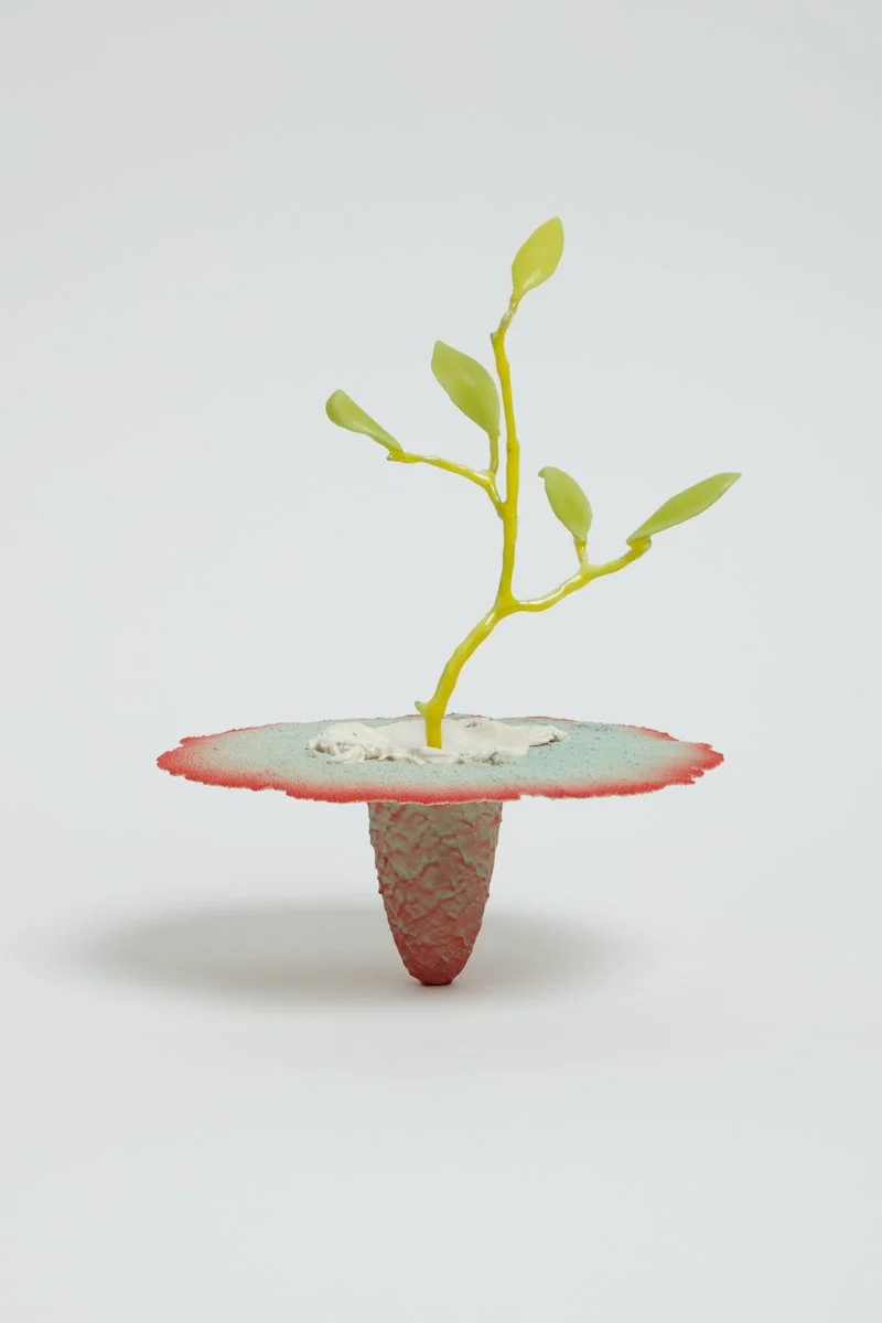   Obelisk (Seadragon) , 2021. cremated leaves, rare earth elements, ceramic, twig, resin, steel, glass, mahogany, maple. 