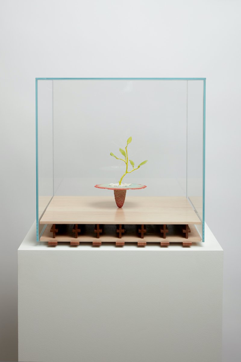   Obelisk (Seadragon) , 2021. cremated leaves, rare earth elements, ceramic, twig, resin, steel, glass, mahogany, maple. 