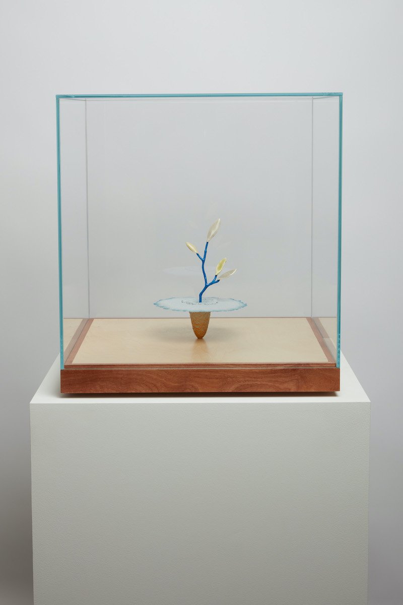   Obelisk (Lord Rayleigh ), 2021. cremated leaves, rare earth elements, ceramic, twig, resin, steel, glass, mahogany, birch. 