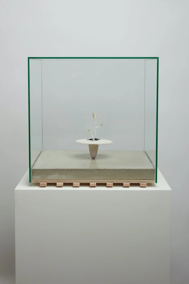   Obelisk (Albino) , 2021. cremated leaves, rare earth elements, ceramic, twig, resin, steel, concrete, glass.  