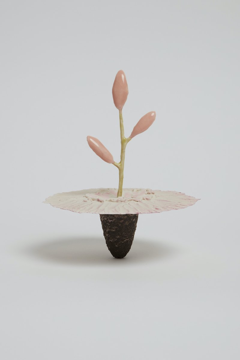   Obelisk (Cantaloupe Tundra) , 2021. cremated leaves, rare earth elements, ceramic, twig, resin, steel, glass, poplar, plywood. 