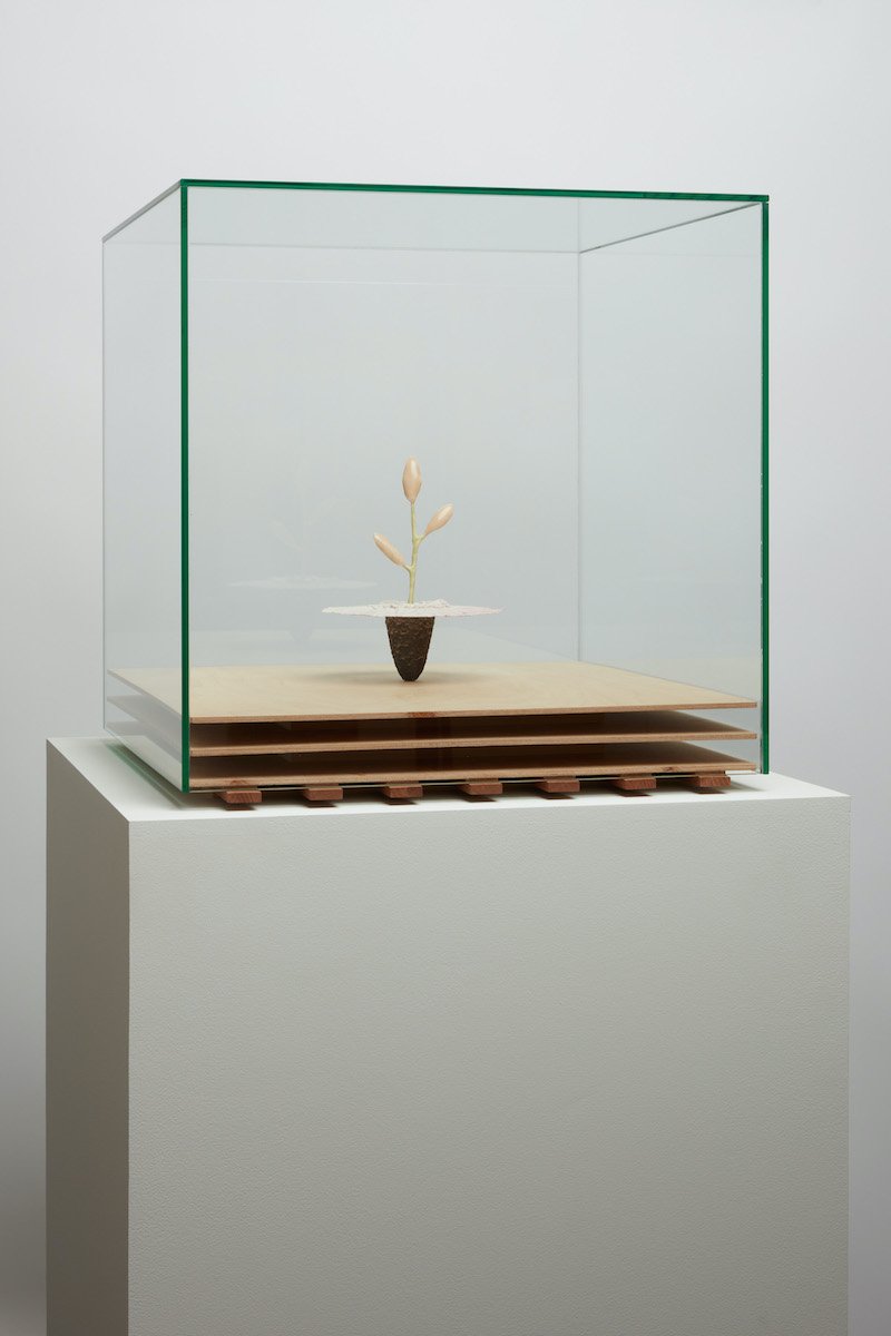   Obelisk (Cantaloupe Tundra) , 2021. cremated leaves, rare earth elements, ceramic, twig, resin, steel, glass, poplar, plywood. 