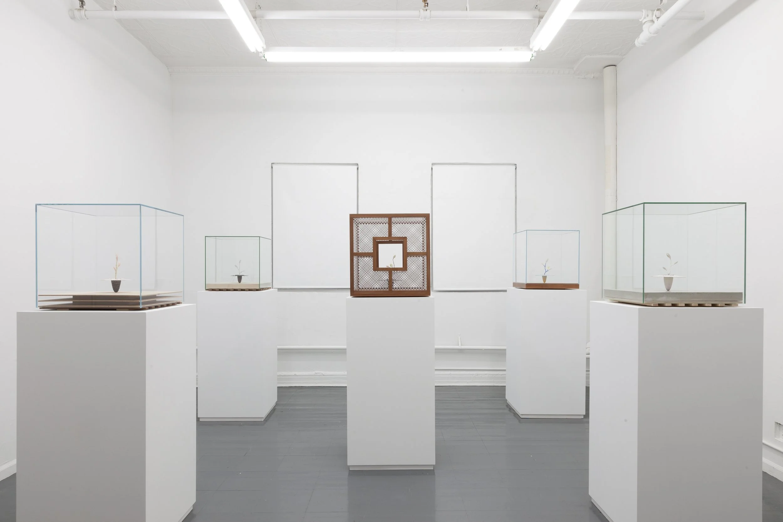   Brief but Tedious , Anders Hamilton, Mother Gallery, New York, NY. 