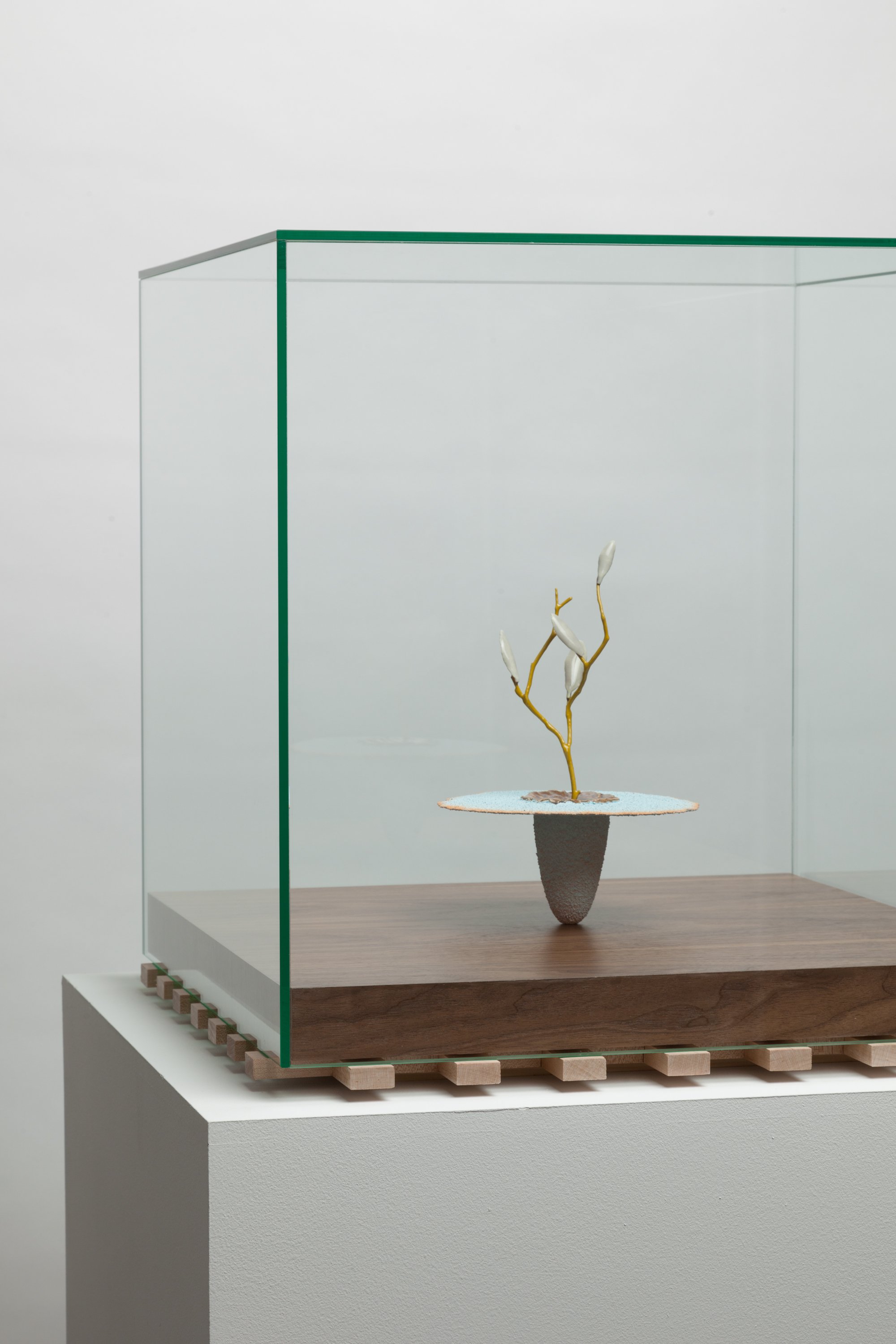   Obelisk (Auxin) , 2023. cremated leaves, rare earth elements, ceramic, twig, resin, steel, glass, walnut, maple. 