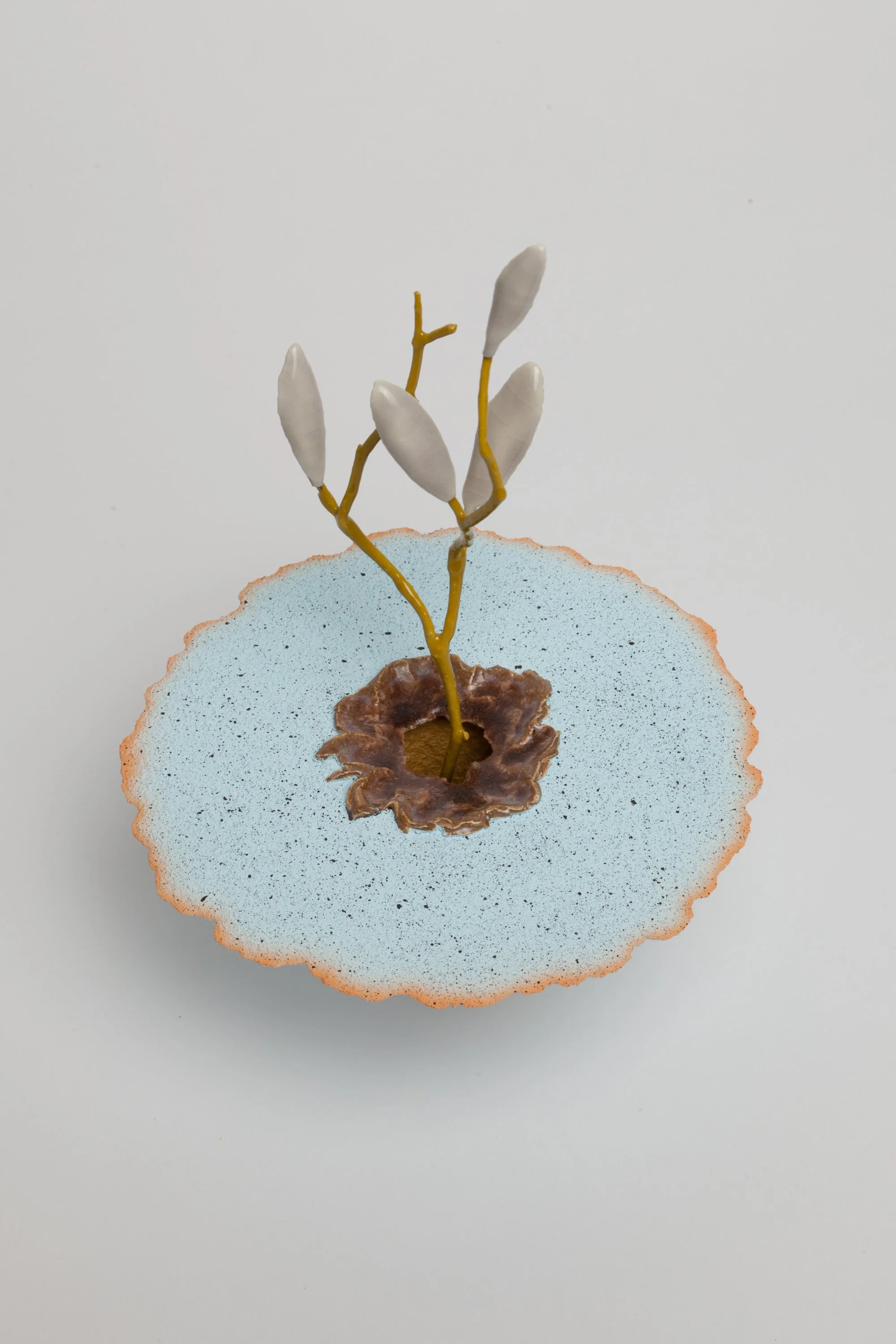   Obelisk (Auxin) , 2023. cremated leaves, rare earth elements, ceramic, twig, resin, steel, glass, walnut, maple. 