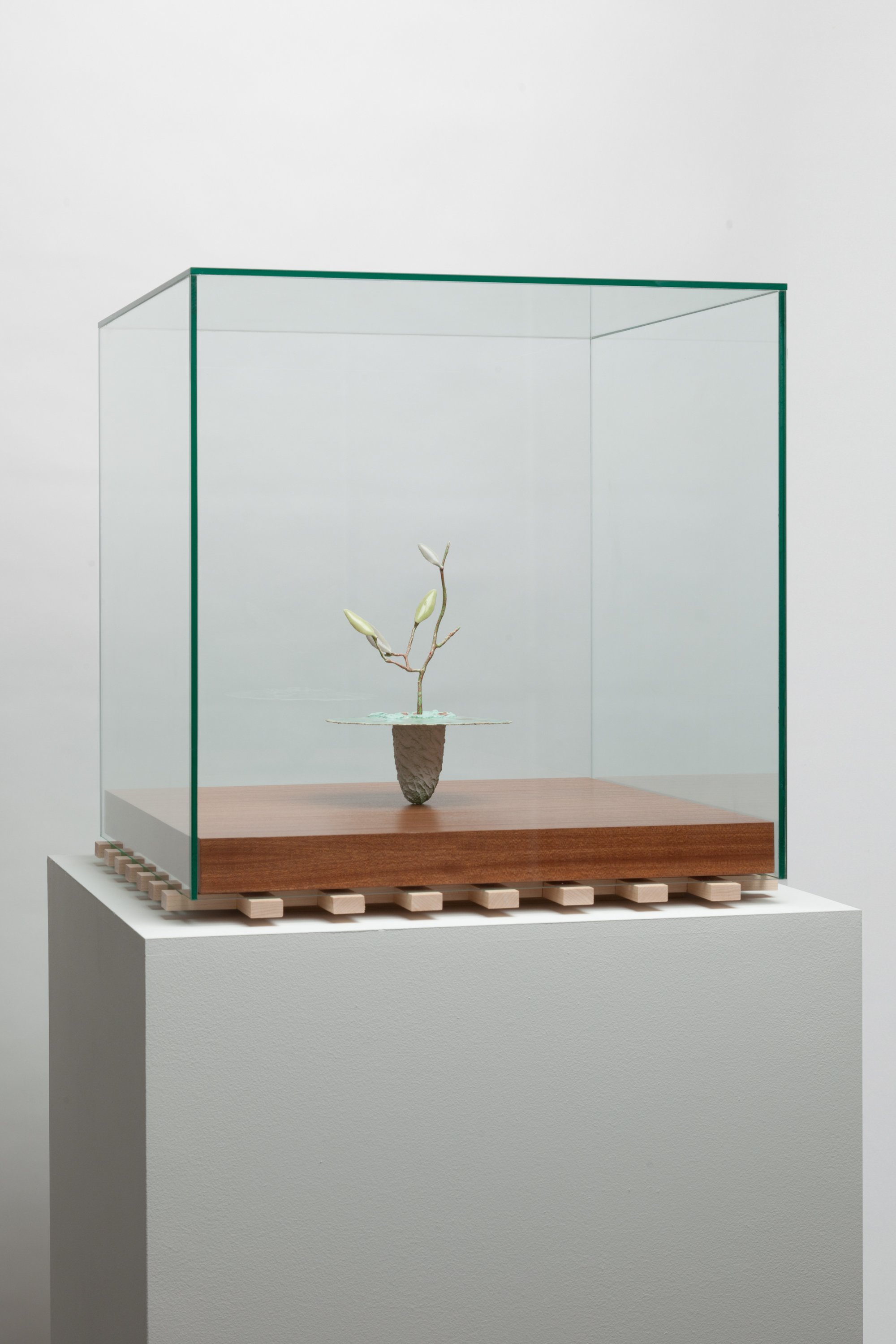  Obelisk (Genesis), 2023. cremated leaves, rare earth elements, ceramic, twig, resin, steel, glass, mahogany, maple. 