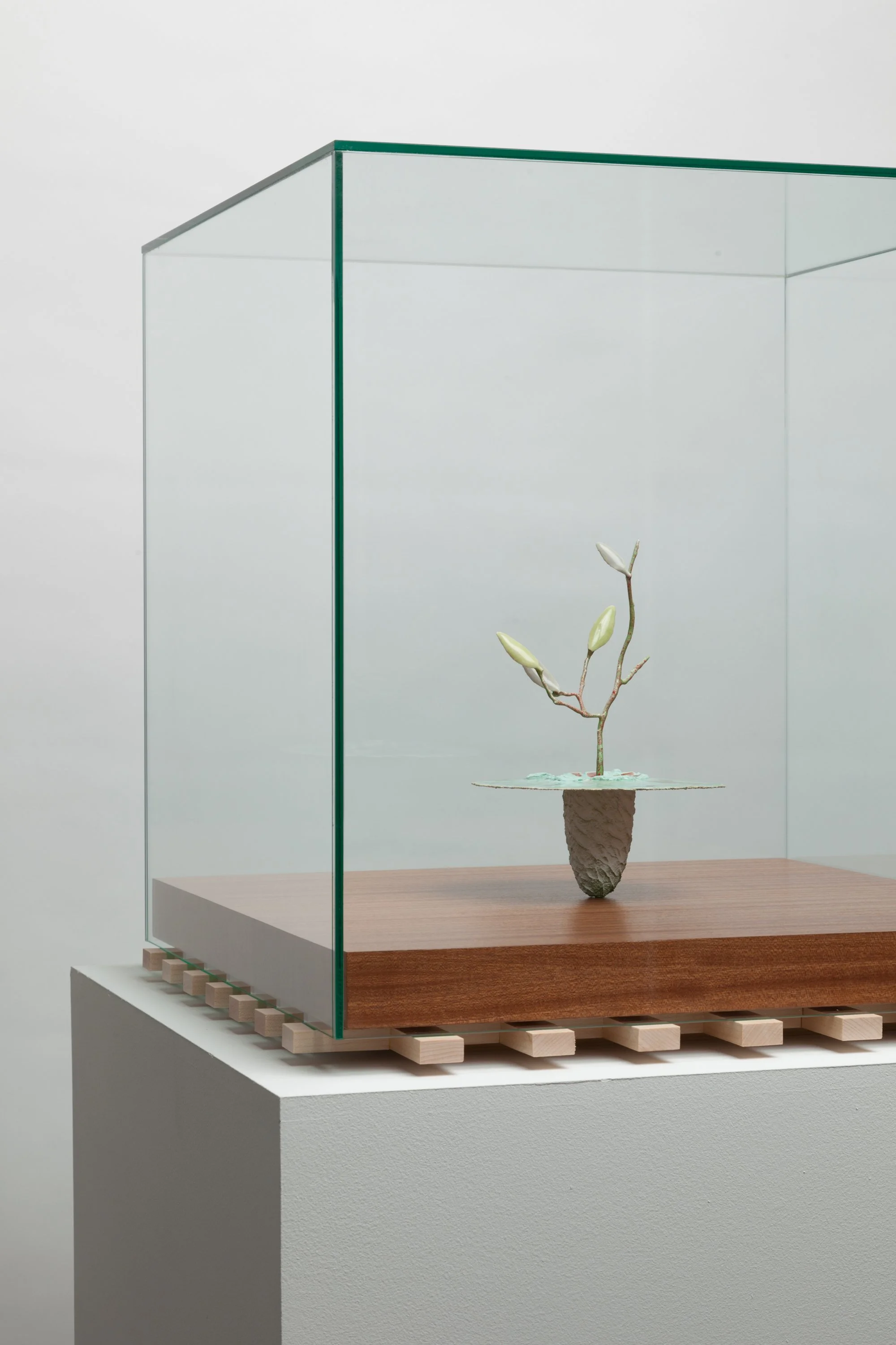  Obelisk (Genesis), 2023. cremated leaves, rare earth elements, ceramic, twig, resin, steel, glass, mahogany, maple. 