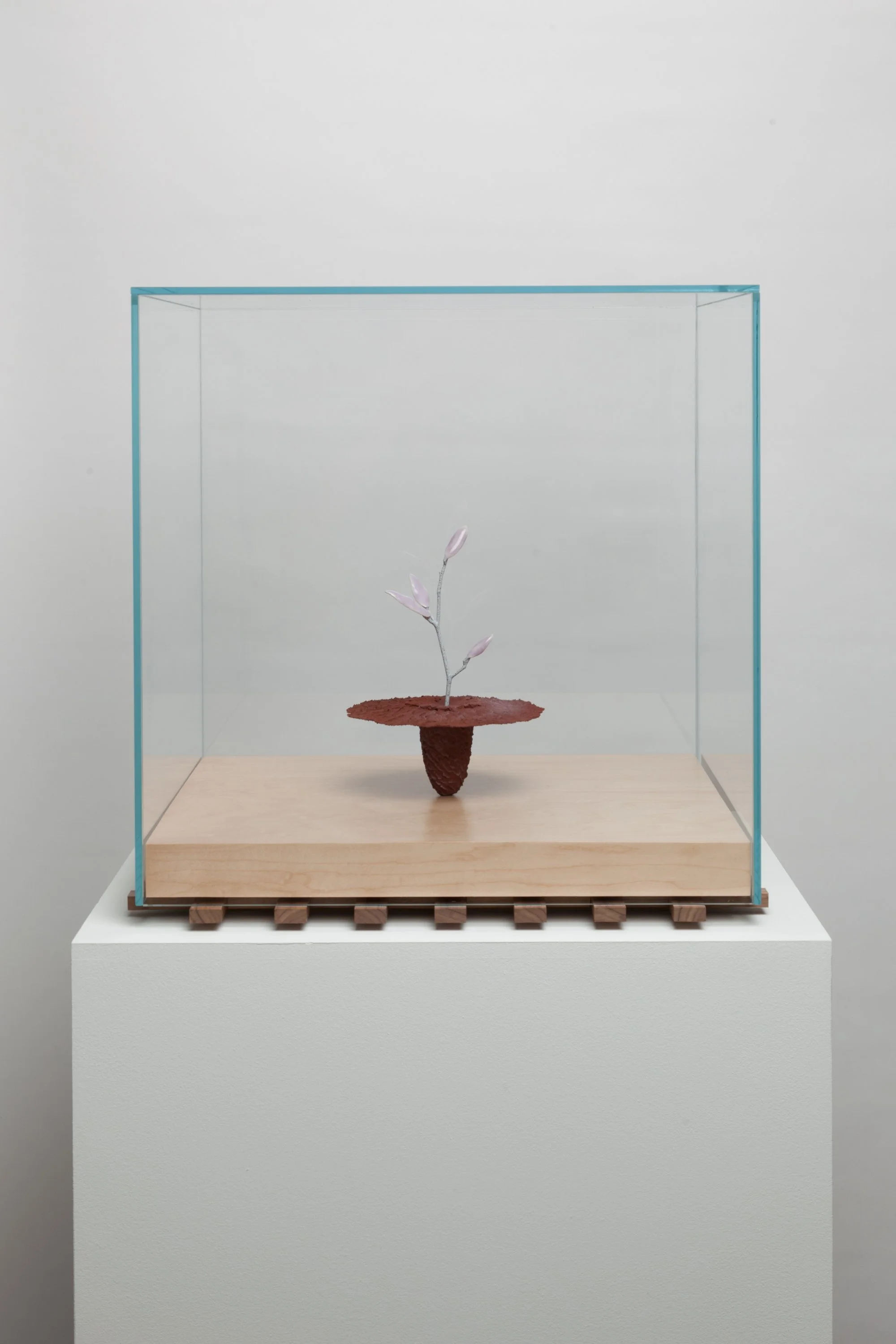   Obelisk (Regolith) , 2023. cremated leaves, rare earth elements, ceramic, twig, resin, steel, glass, maple, walnut. 