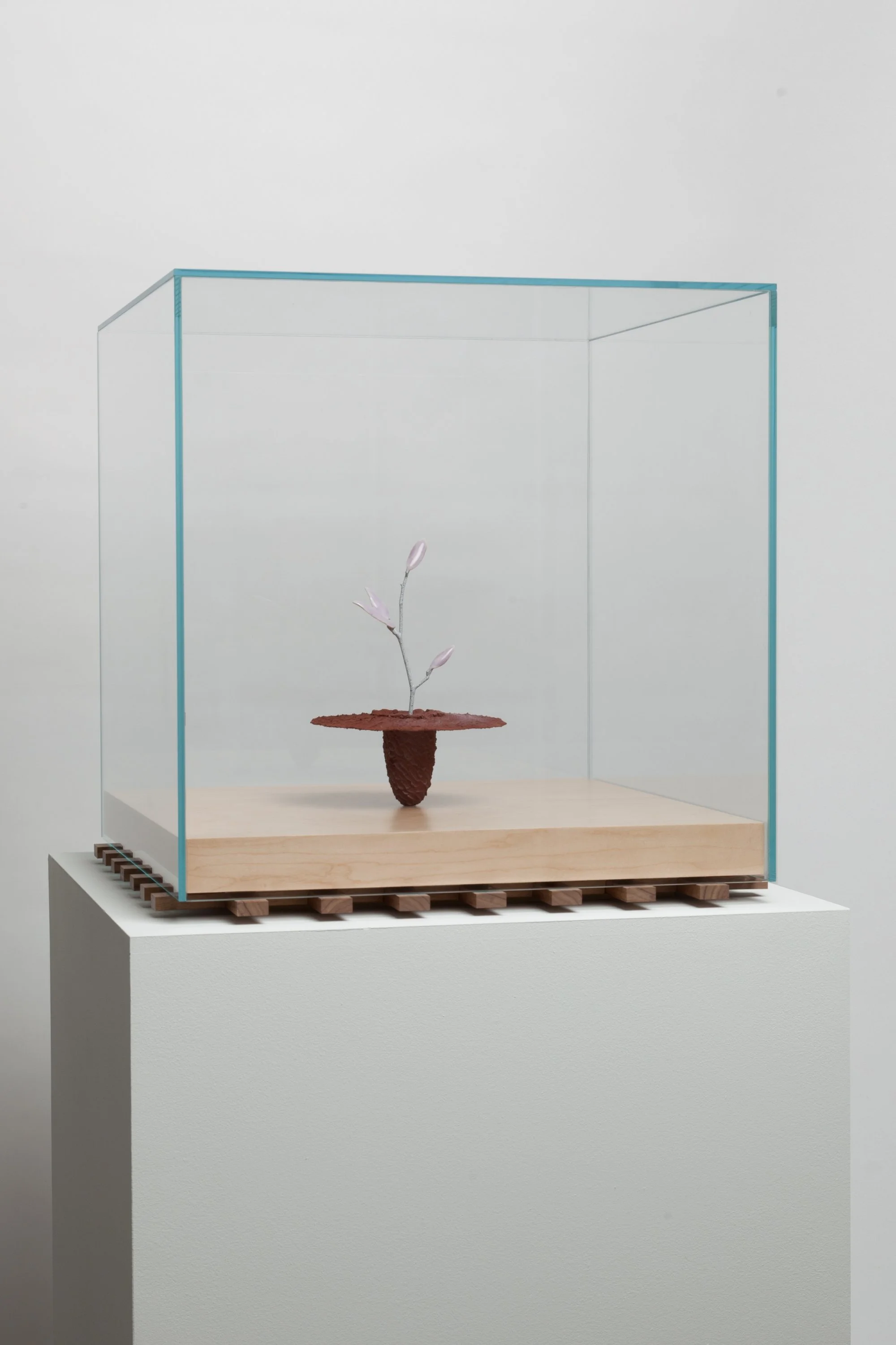   Obelisk (Regolith) , 2023. cremated leaves, rare earth elements, ceramic, twig, resin, steel, glass, maple, walnut. 